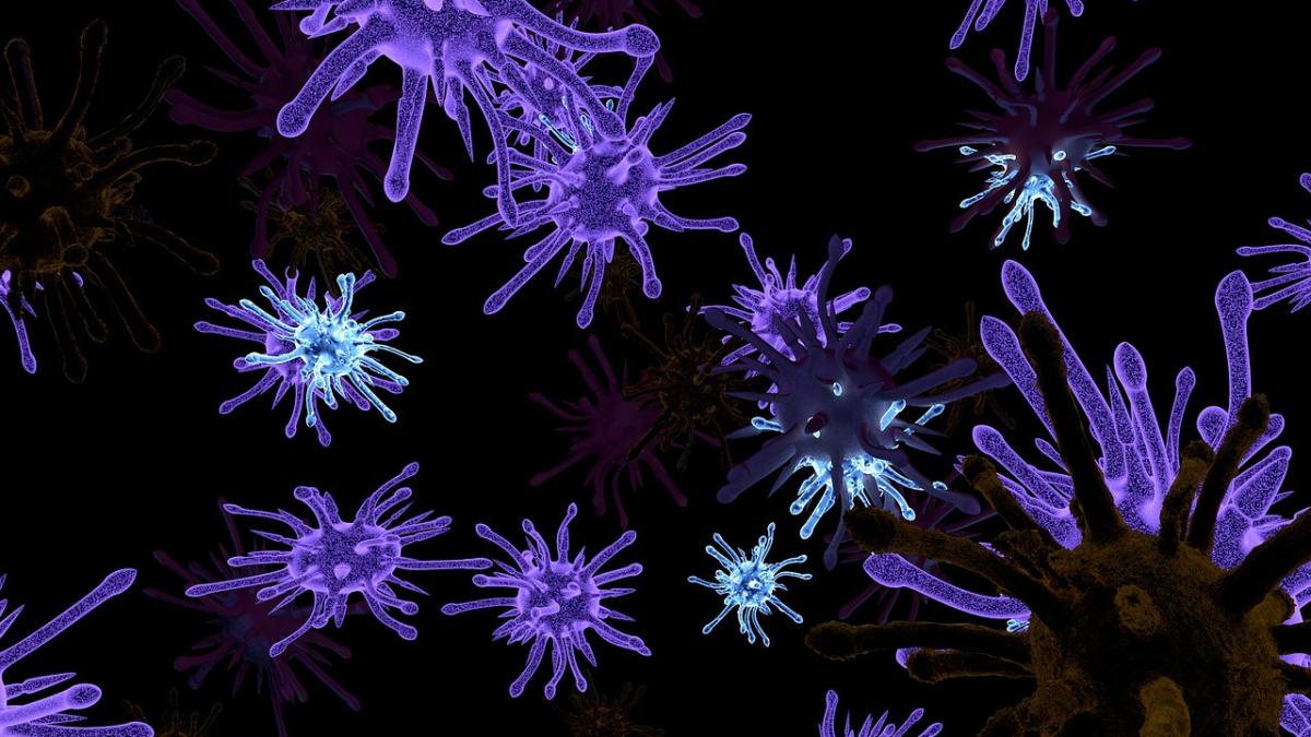 virus_rotavirus_86894400