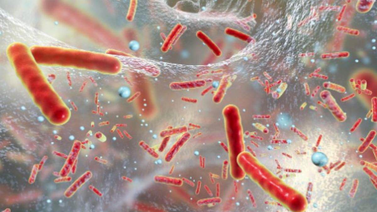 bacterie_universitatea_copenhaga_26636200
