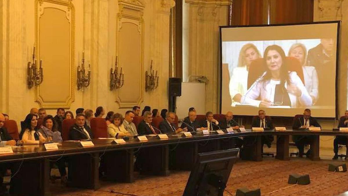 pintea_parlament_conferinta_fundeni_44226700