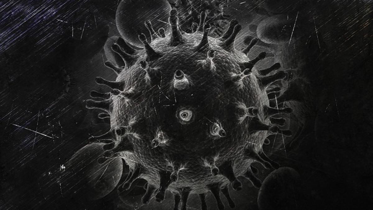 epidemii_82534800