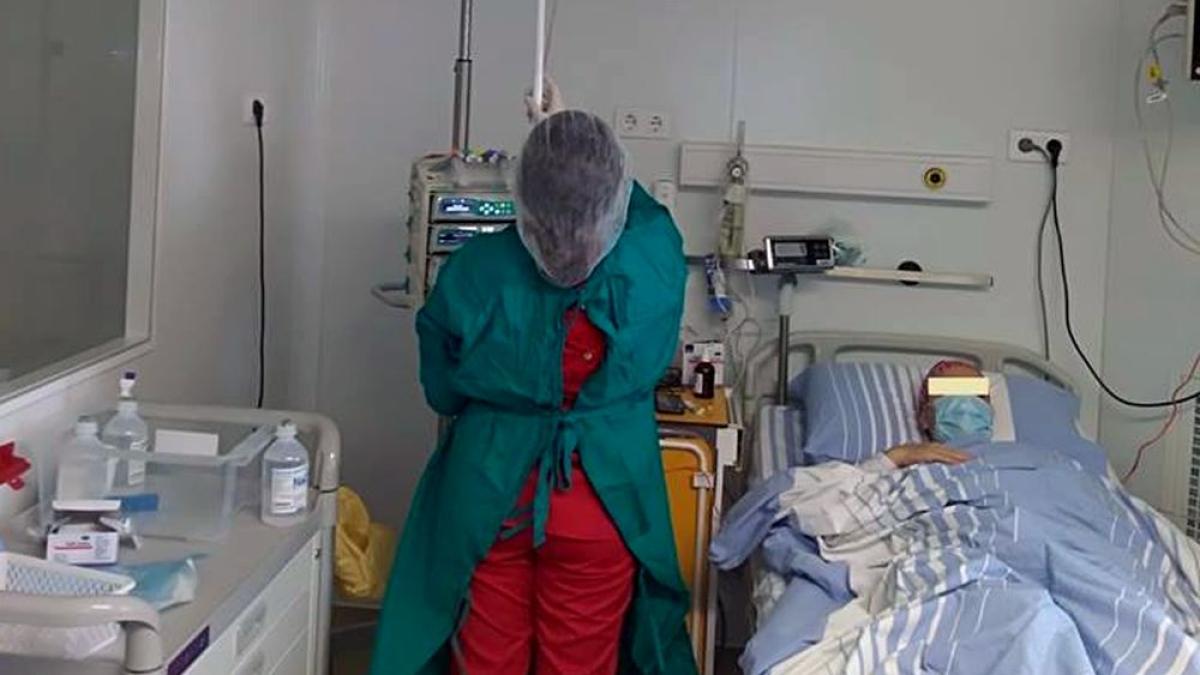 transplant_medular_foto_suub_73325300