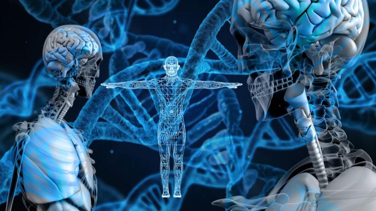 adn_gene_genetica_organism_34205100
