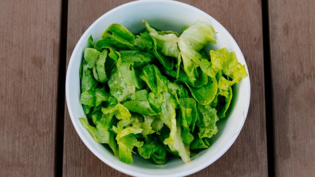 salata_70912600
