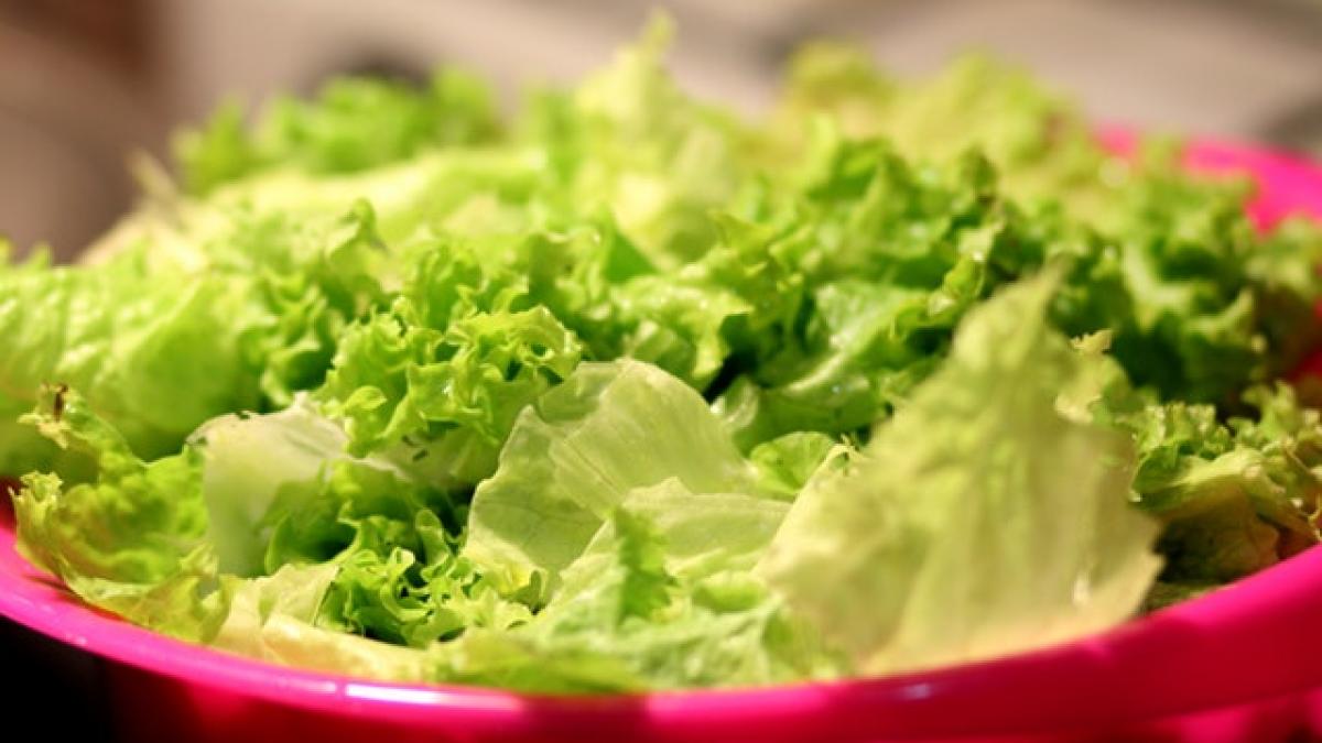 salata_verde_70539300