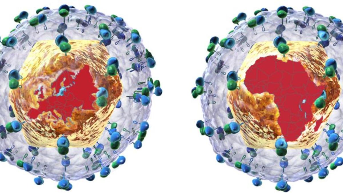 tulpini_noi_virus_hepatita_c_foto_wellcome_sanger_institute_03683200