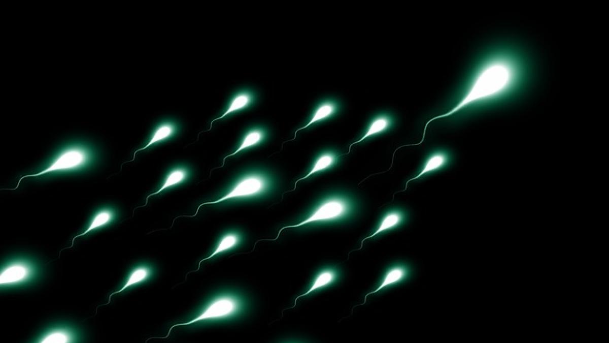 sperma_infertilitate_66253500