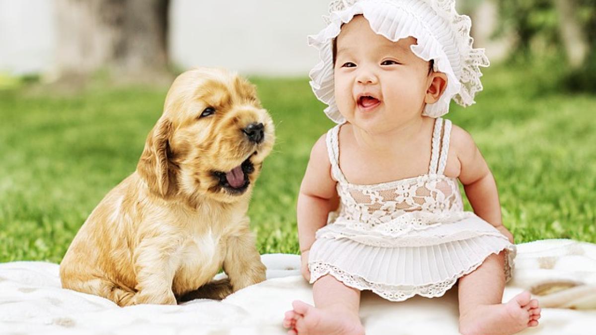 bebelusi_animale_companie_alergii_87047500