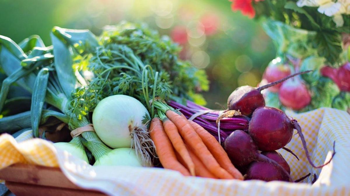 dieta_vegetale_legume_46961900