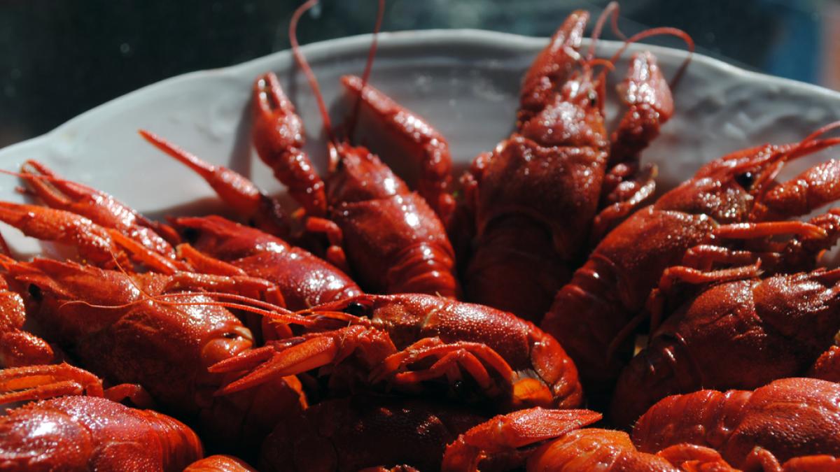 raci_crustacee_75709500