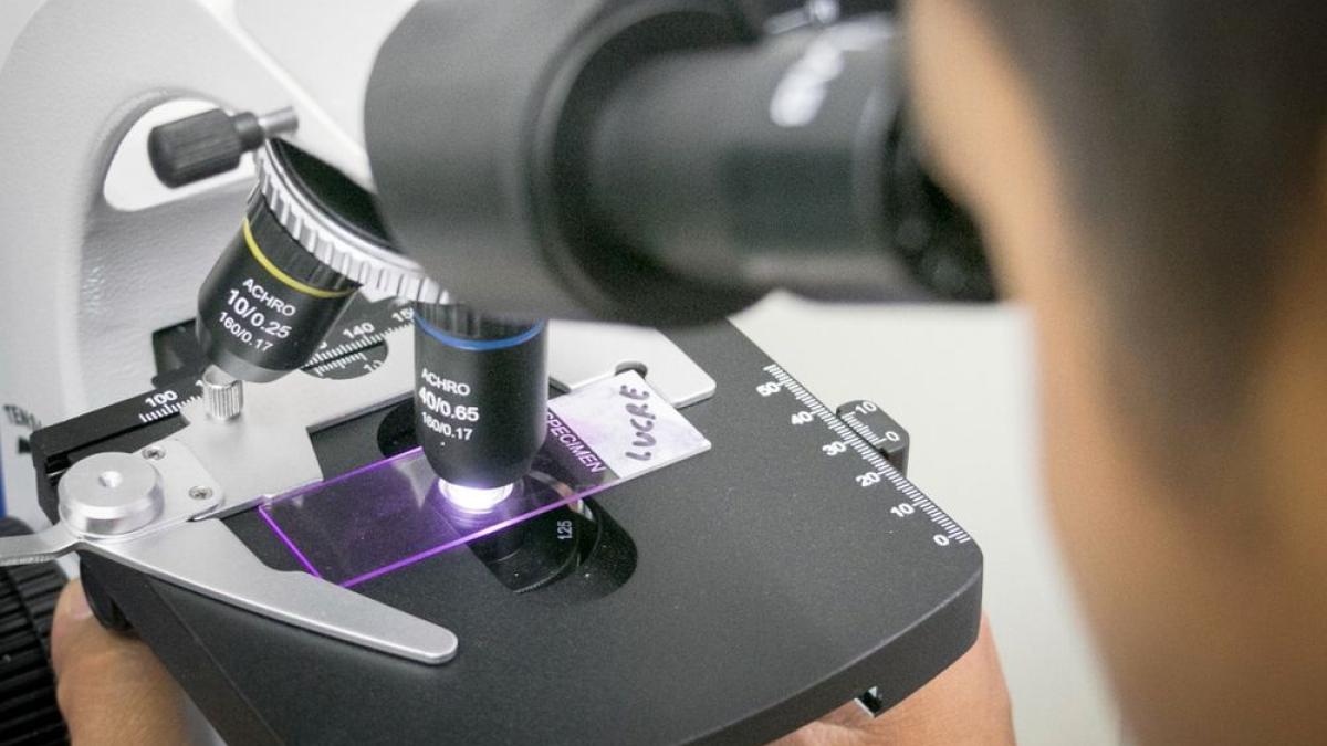 microscop_lame_77754600