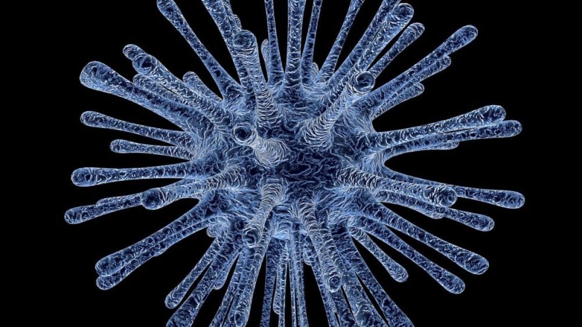 virus_63007500