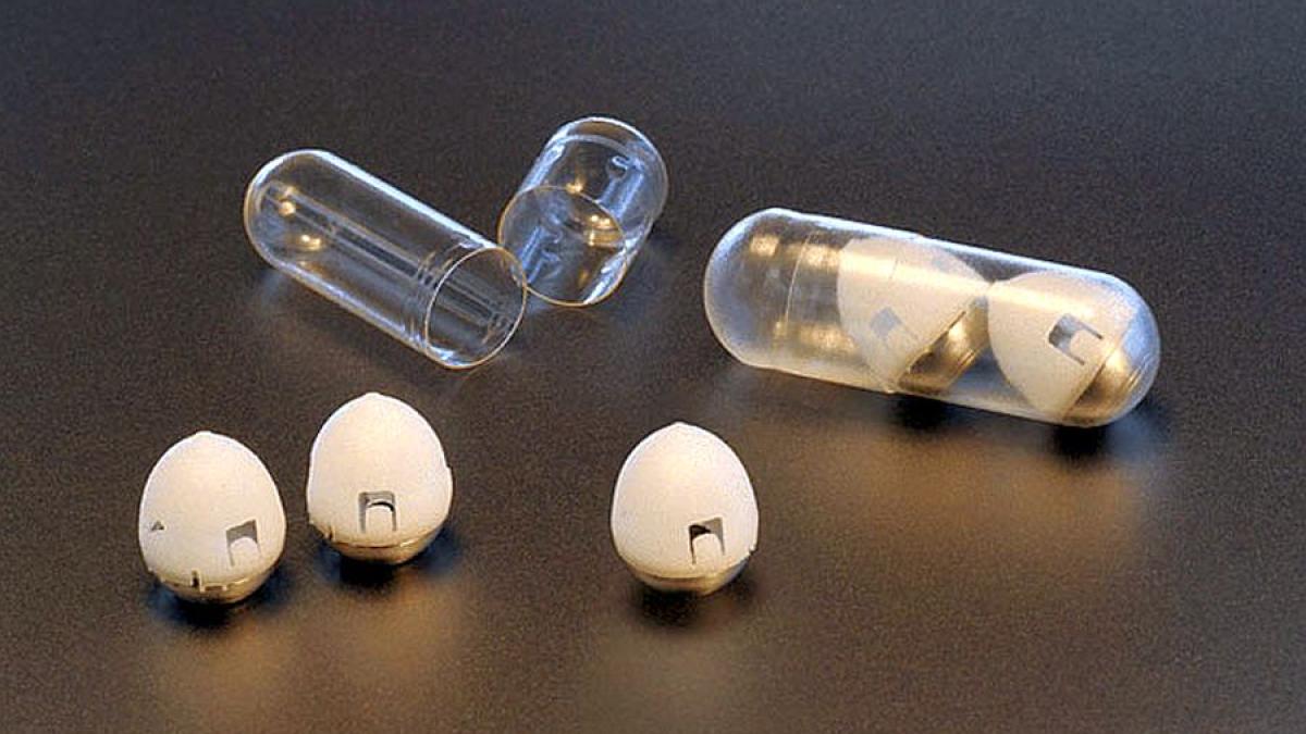 capsula_insulina_foto_mit_24342100