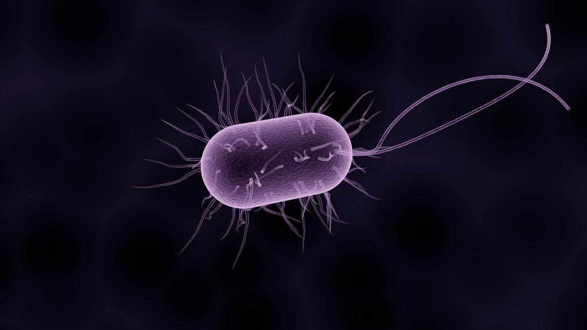 bacterie_agresiva_79485700