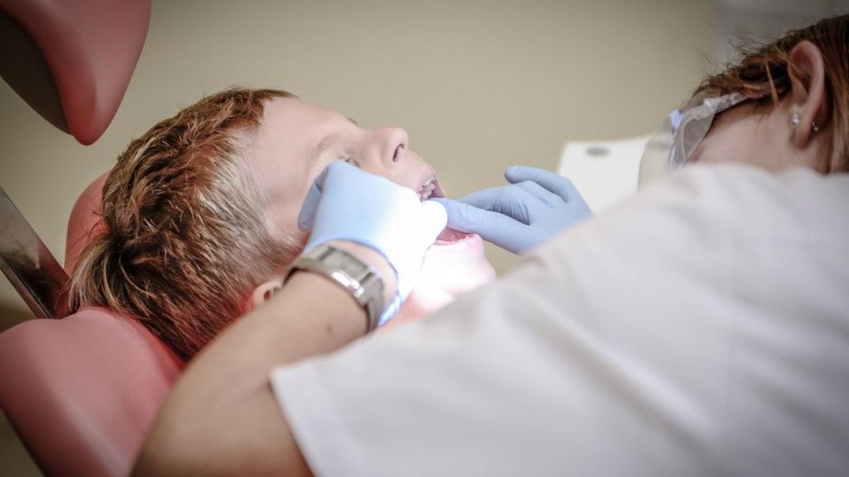 dentist_stomatolog_dinti_control_cabinet_04079700