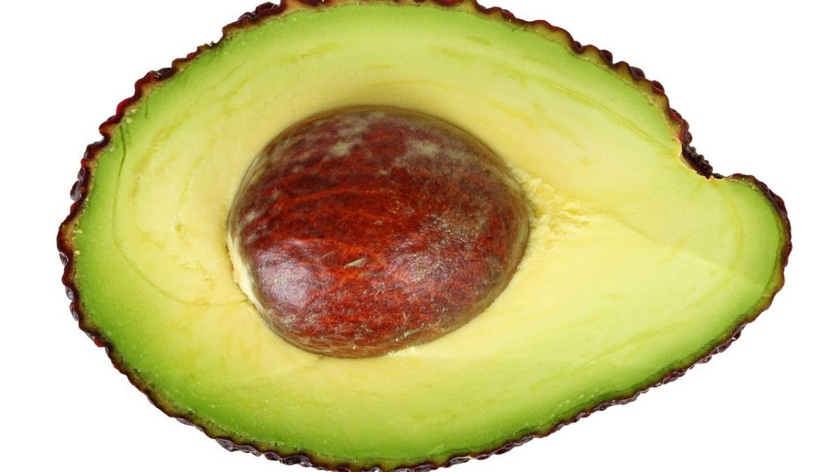 avocado_sambure_54324800