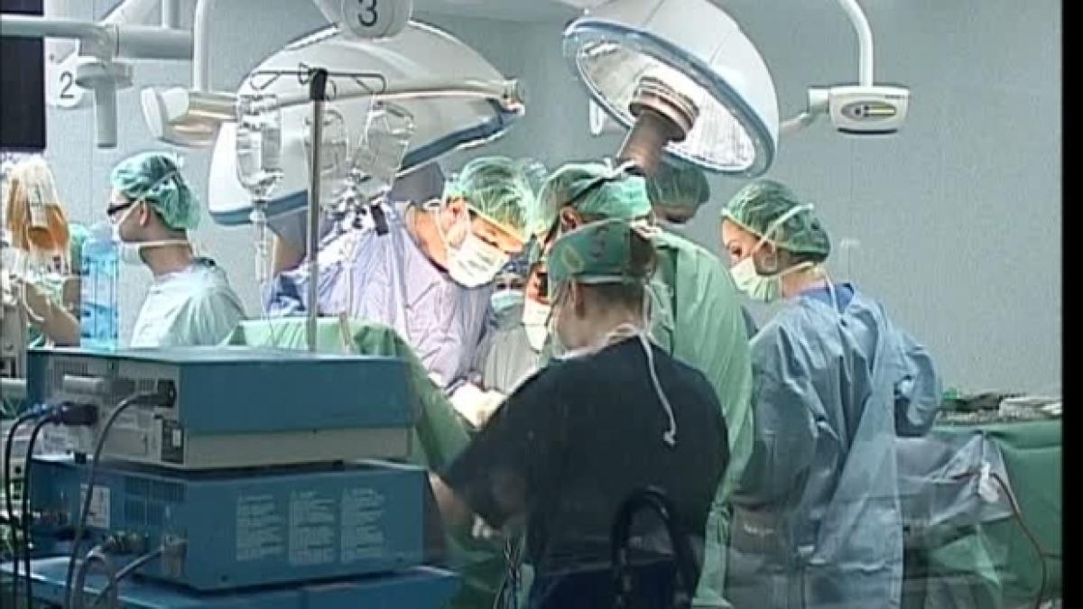 transplant_plamani_42166500