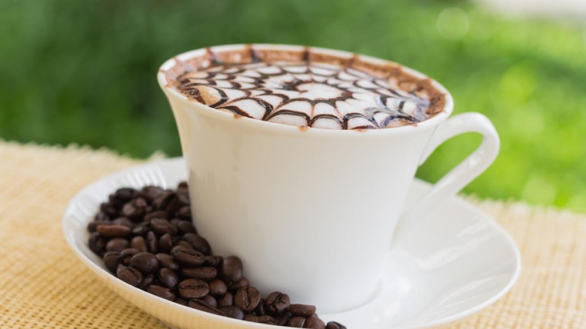 cafea_66221000