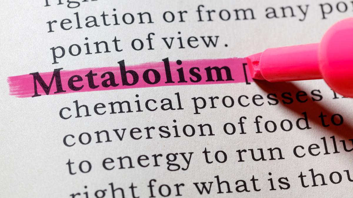 metabolism_98202300