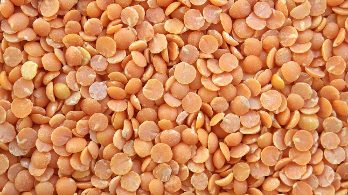 lentils_628468_1280_39974400
