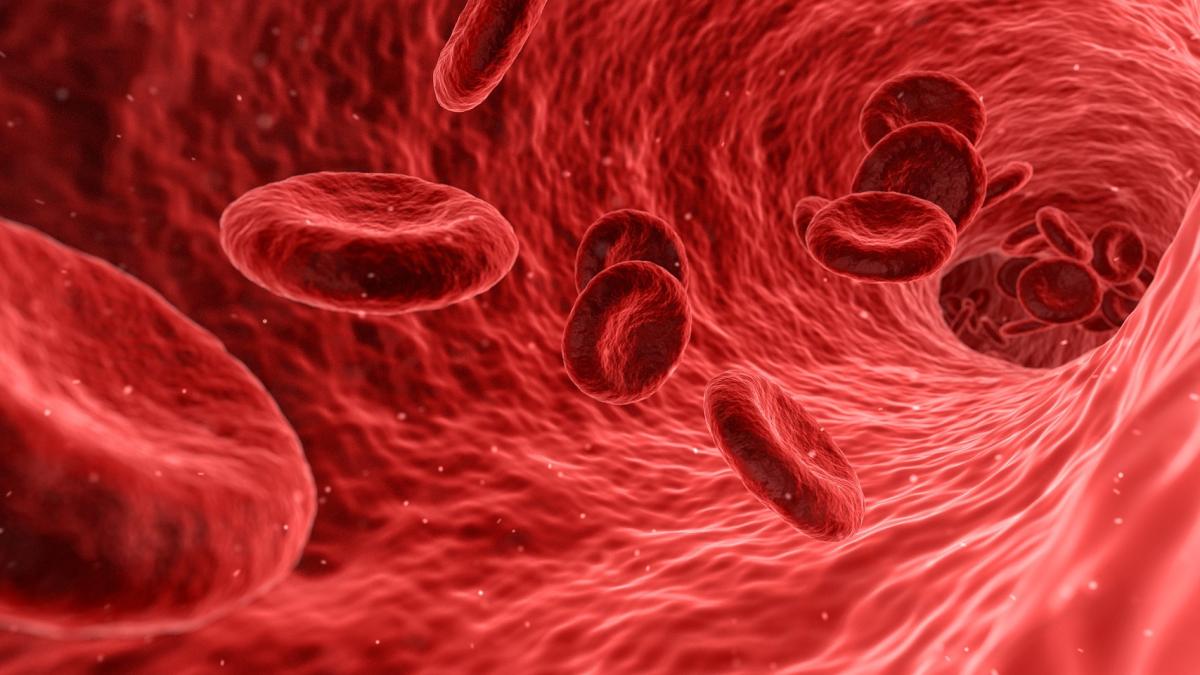 sange_hematologie_31368900