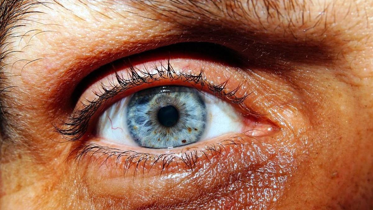 ochi_iris_cerc_gri_59732000