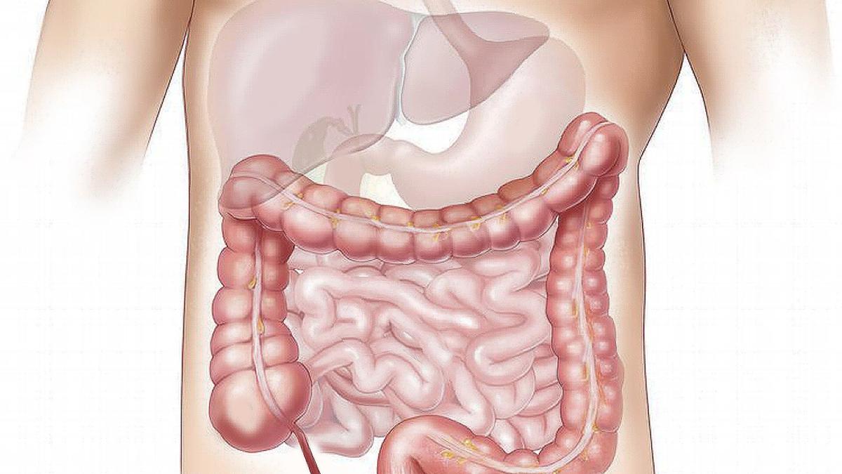 liver_87101700