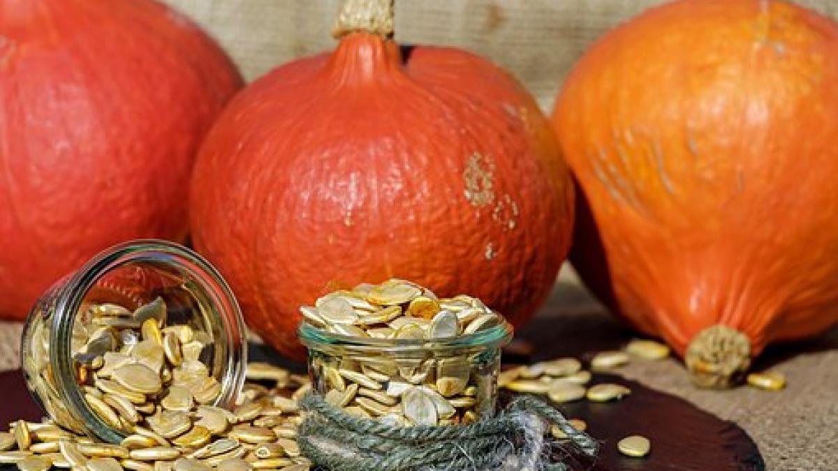 pumpkin_seeds_1738174__340_79474700