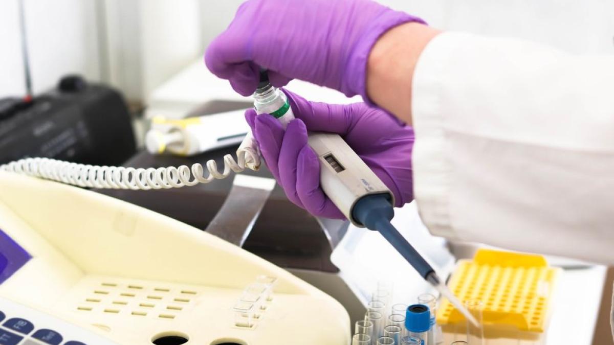 laborator_analize_celule_probe_25775300