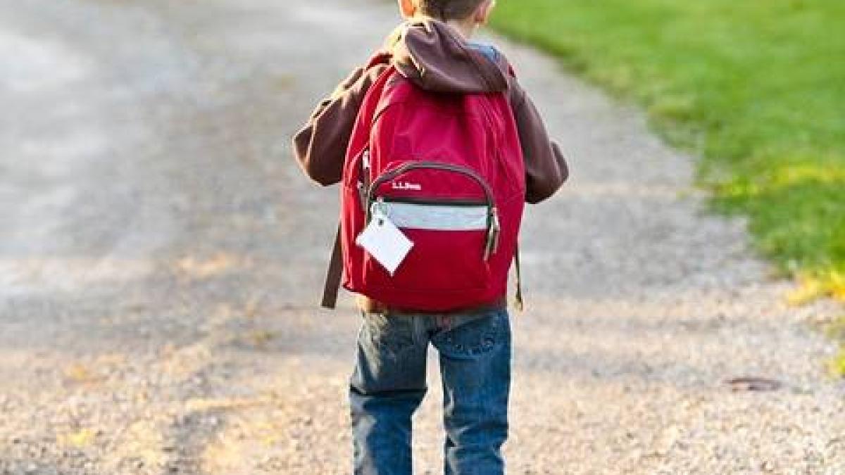 school_1634755_960_720_91610400