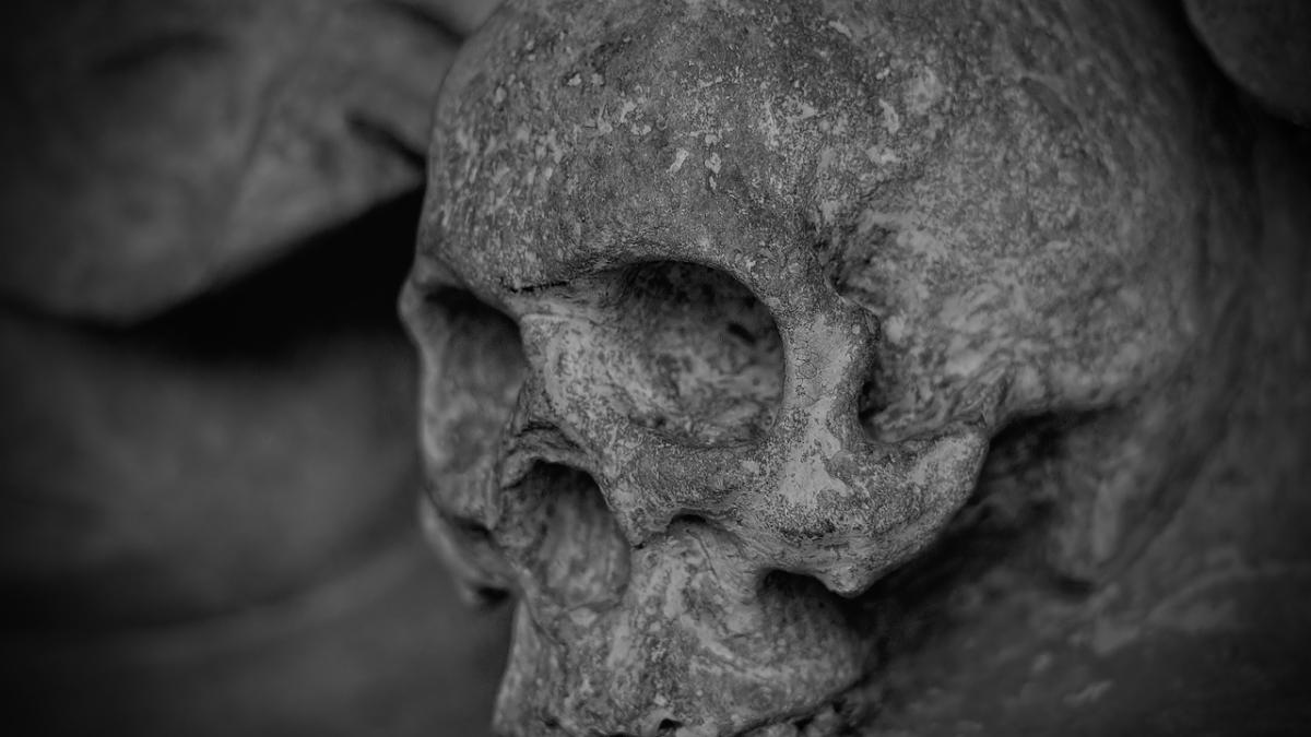 skull_and_crossbones_77950_1280_12140500