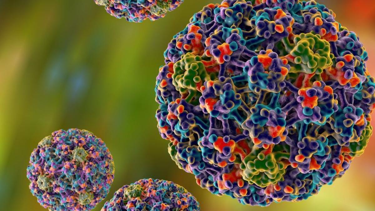 hpv__foto___genassistabcs_com_12976400