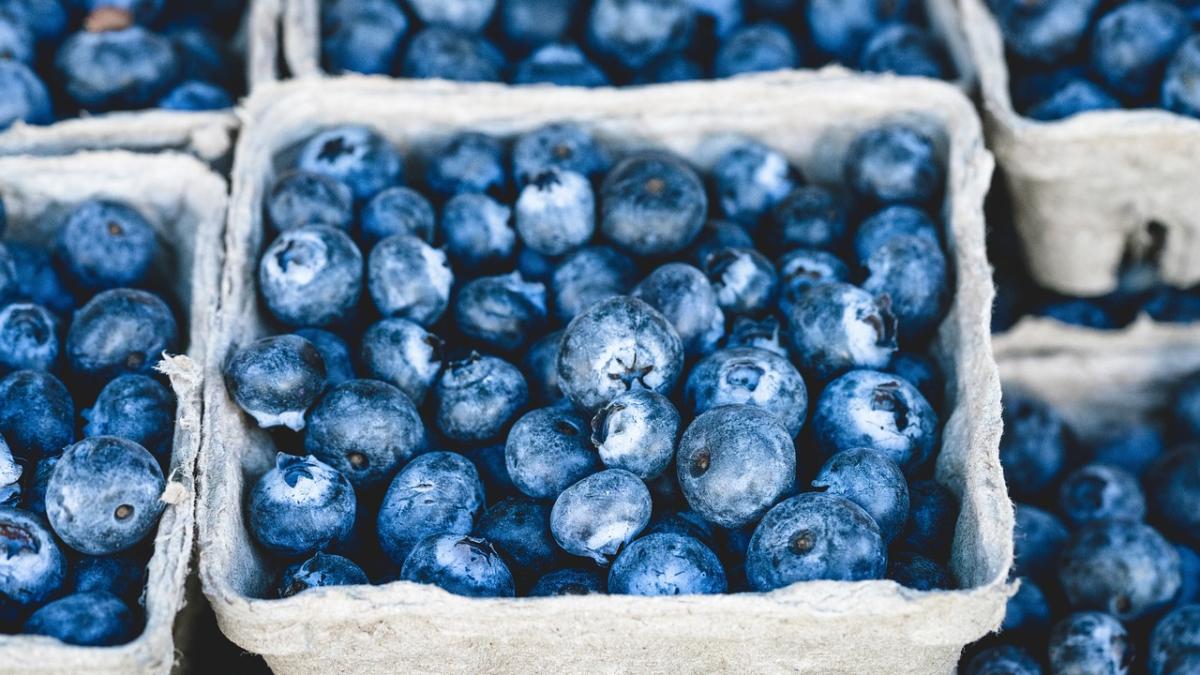 blueberry_1326154_1280_77331900