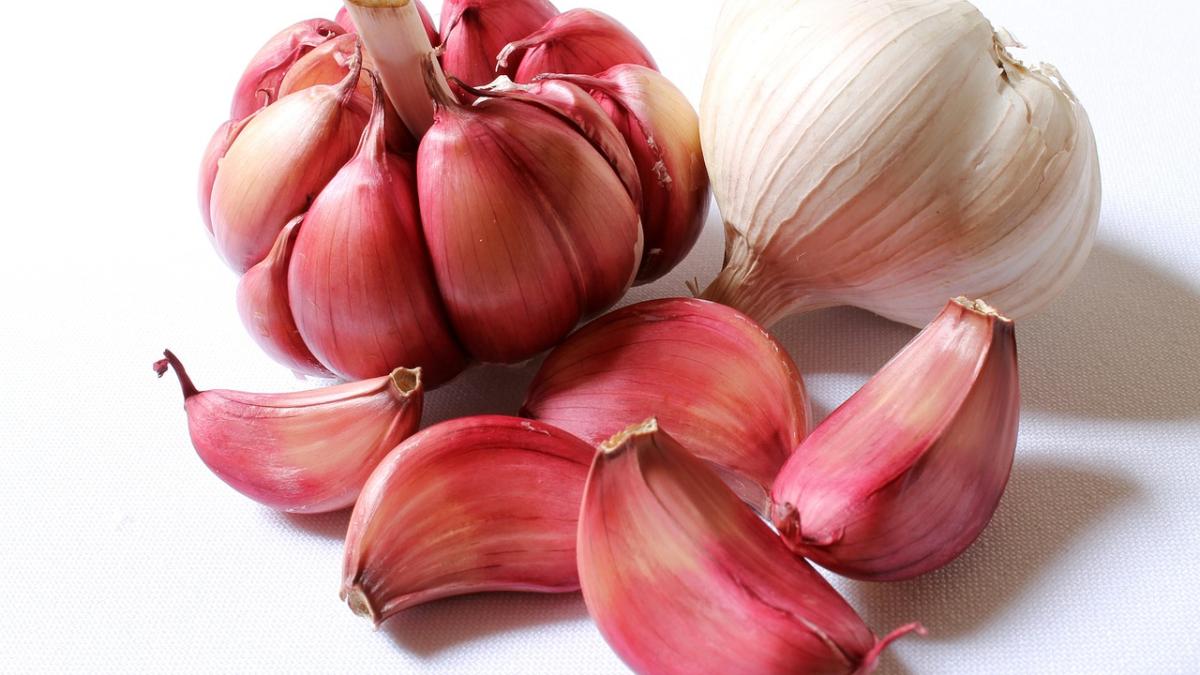 garlic_618400_1280_24975200