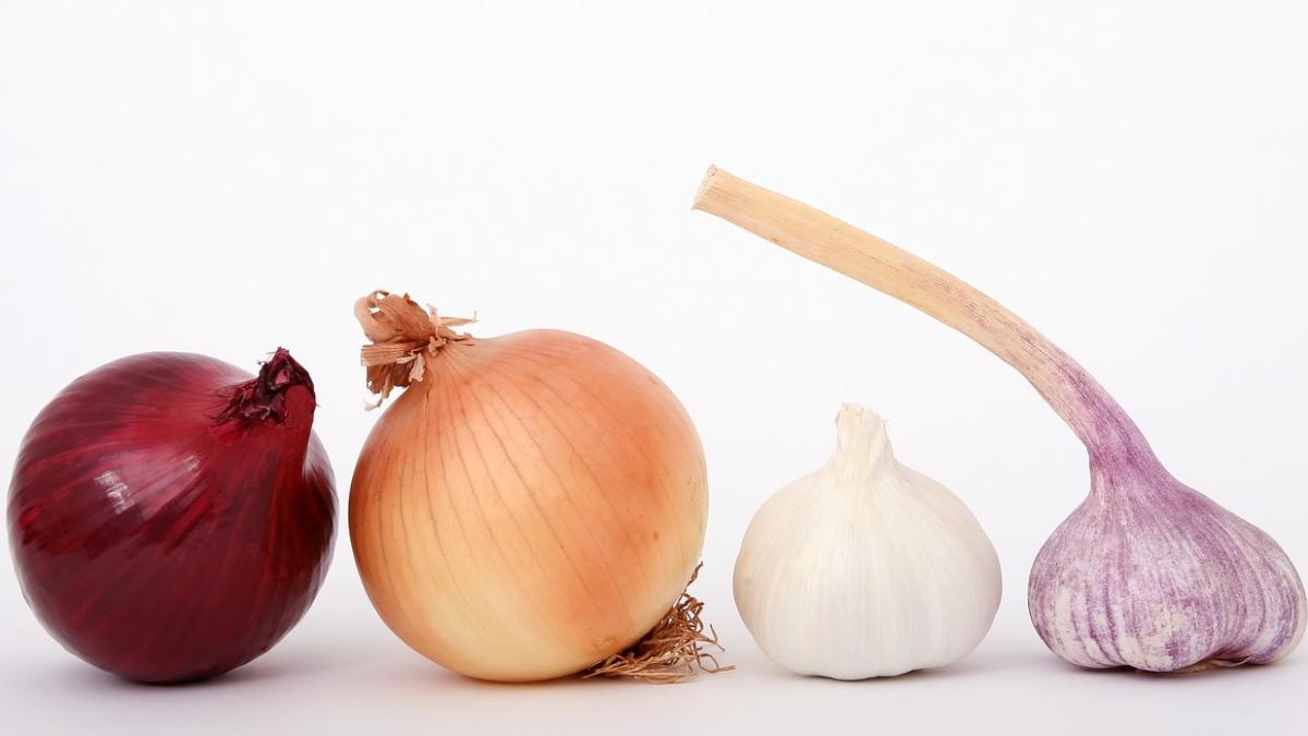 food_1239423_1280_57509600