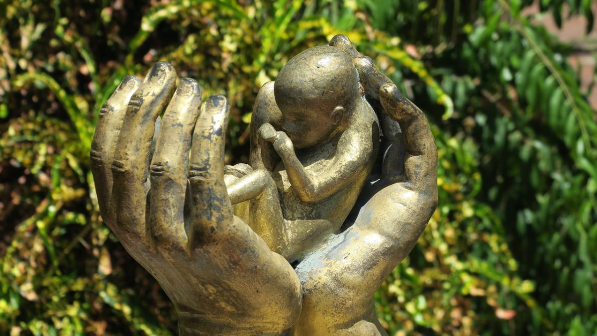 abortion_3533963_1280_05048400