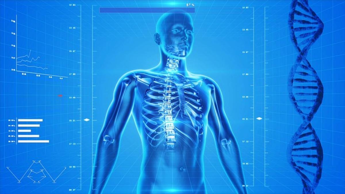 osteoporoza_schelet_uman_81059200