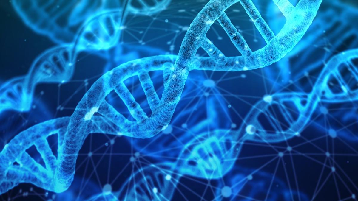 dna_3539309_1280_26736100