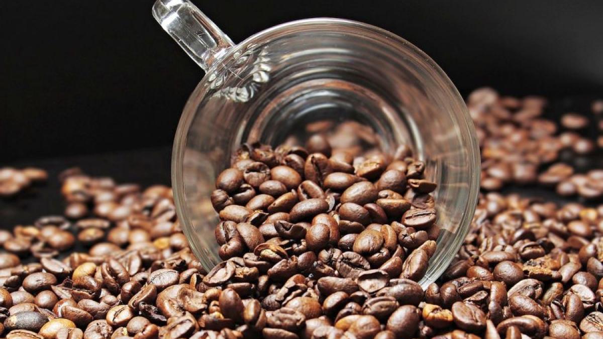 boabe_cafea_97789500