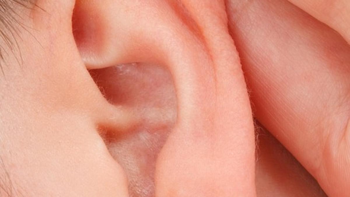 close_up_18753_960_720_36493600