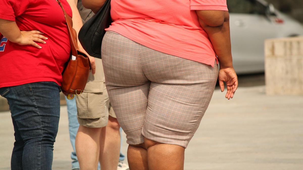 thick_373064_1280_62541100