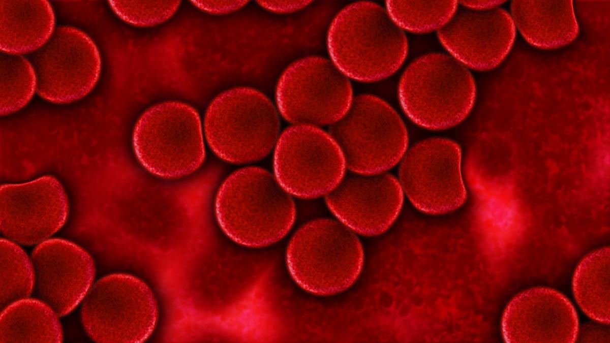 blood_75302_1280_68937200
