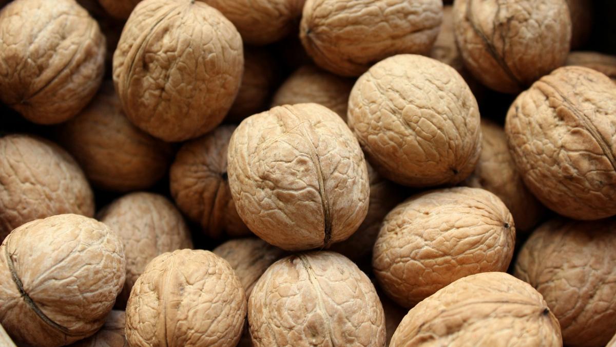 nuts_4534250_1280_29474300