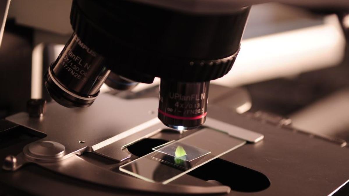 microbion_gene_harta_cercetatori_14095800