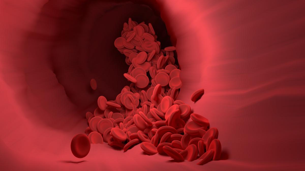 red_blood_cell_4256710_1280_20080500