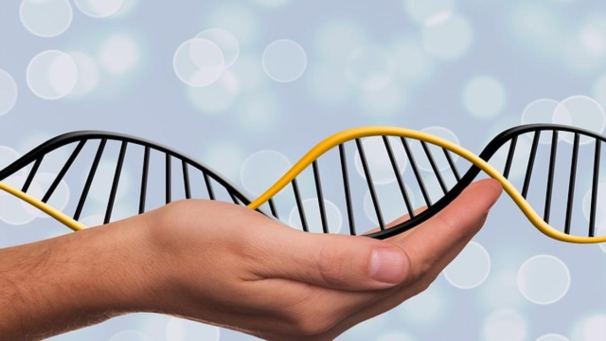 dna_1500076_640_12528800