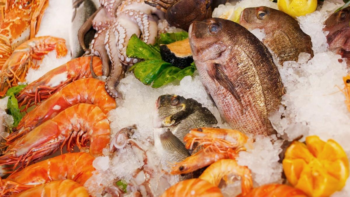 seafood_165220_1280_59741600
