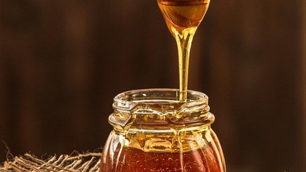 honey_1958464_640_48306900
