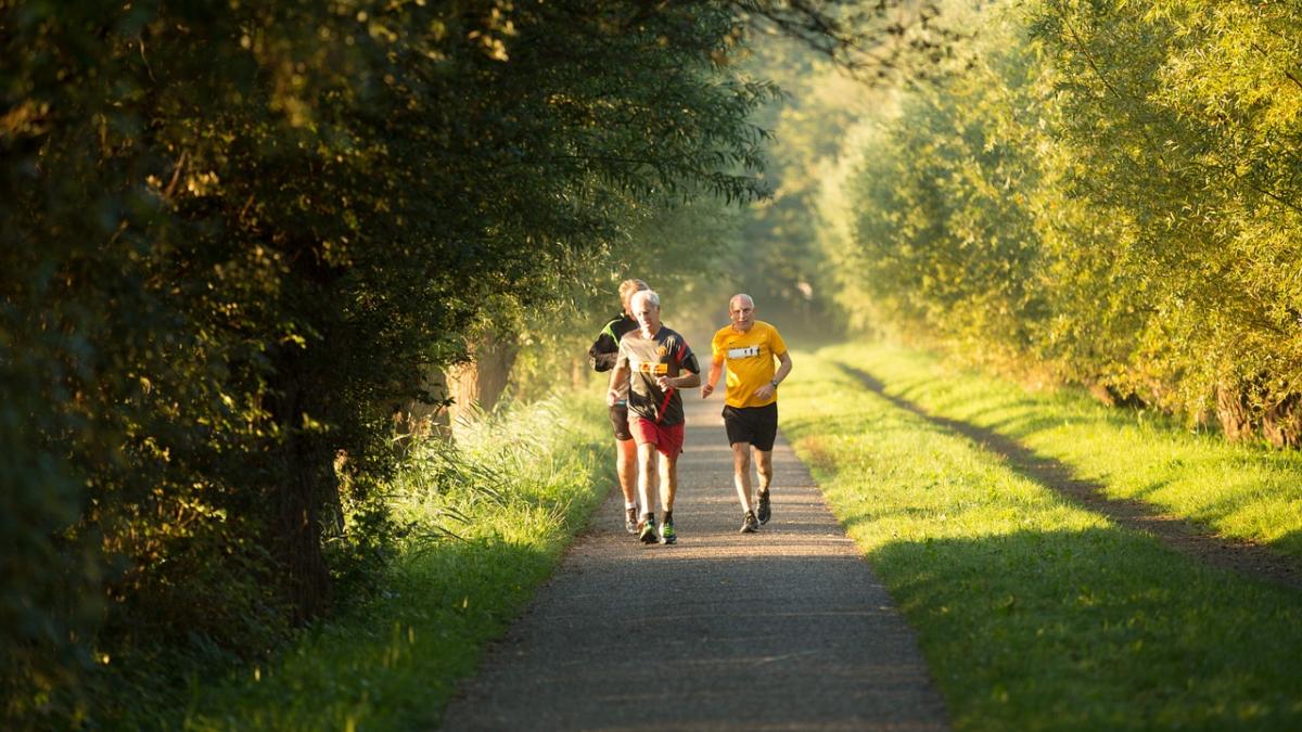running_1275803_1280_66320800