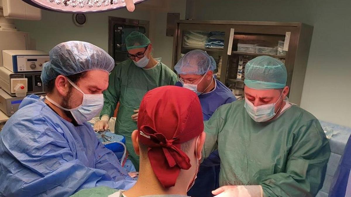 foto_transplant_ant_10398800