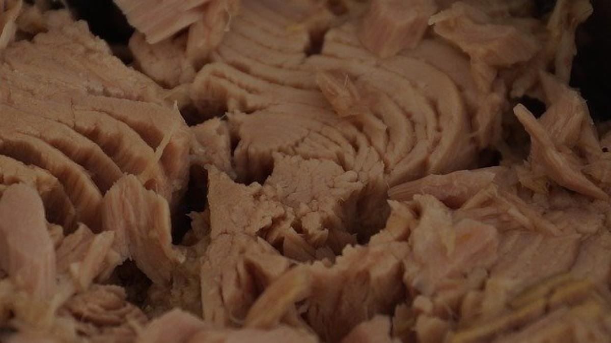 tuna_439755_640_29731500